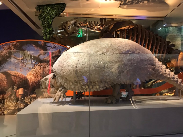 3B6E0043-8B73-470E-ABF4-7D756EB0CB6B